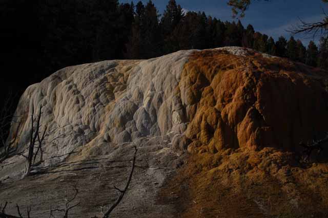 Orange Spring Mound